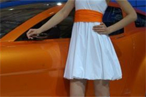 我也能看到许多小动物 我也能看到许多小动物