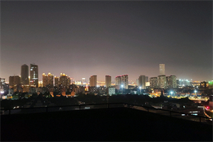 The Shanghai Back Garden can meet their needs The Shanghai Back Garden can meet their needs